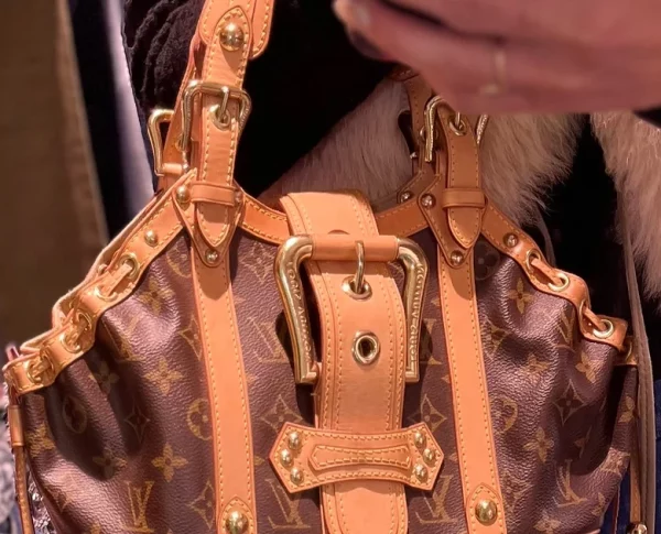 Louis Vuitton – Image 4