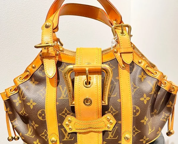 Louis Vuitton – Image 5